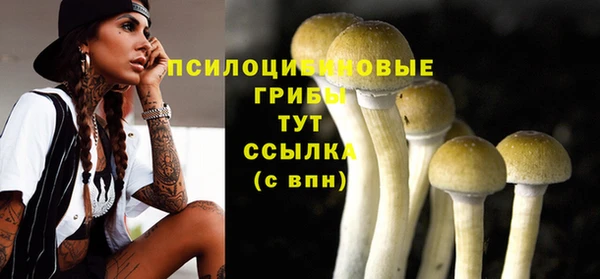 ПСИЛОЦИБИНОВЫЕ ГРИБЫ Михайловка