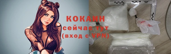 сатива Михайлов