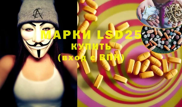 ПСИЛОЦИБИНОВЫЕ ГРИБЫ Михайловка